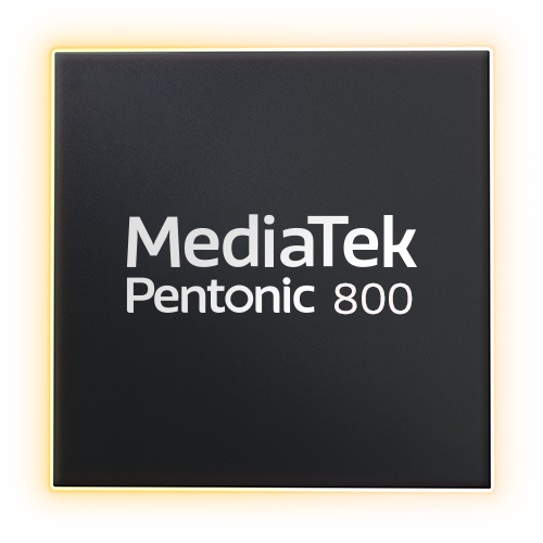 Pentonic 800_chips